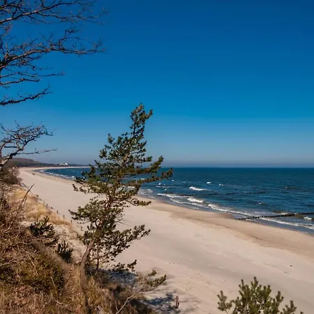 Diana Mit Terrasse *